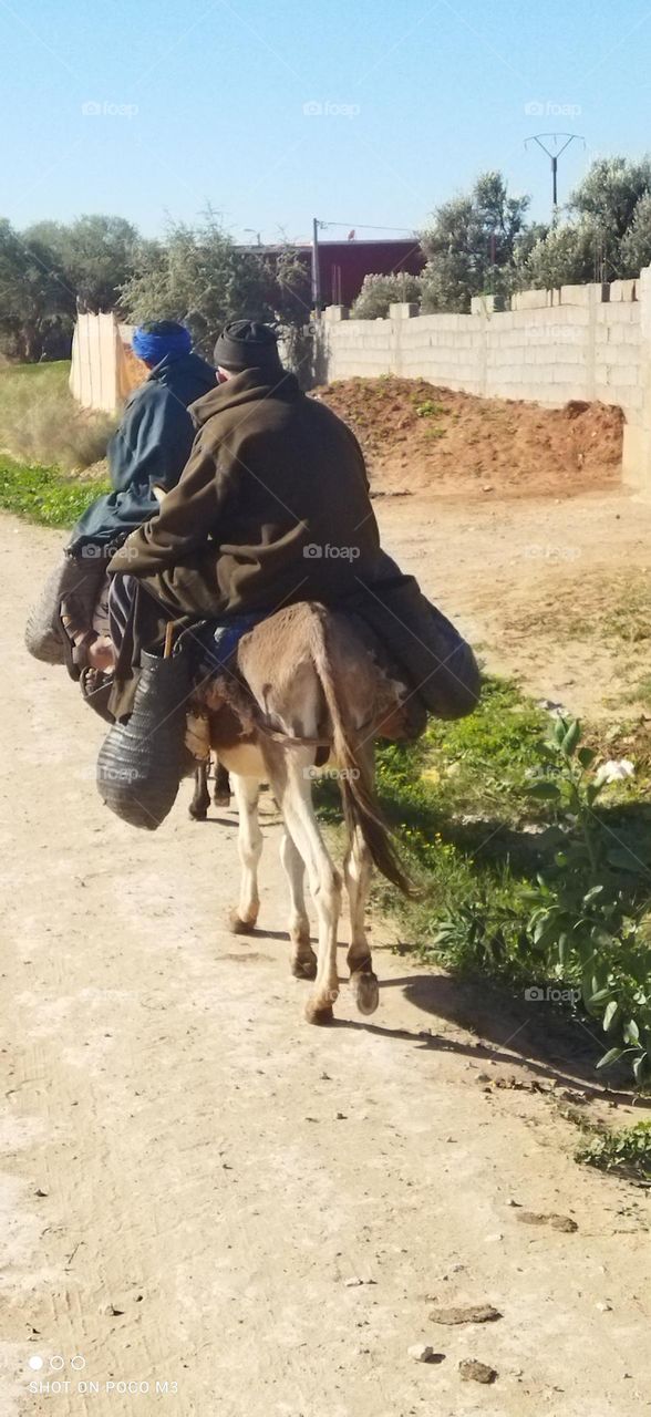 two people on donkey