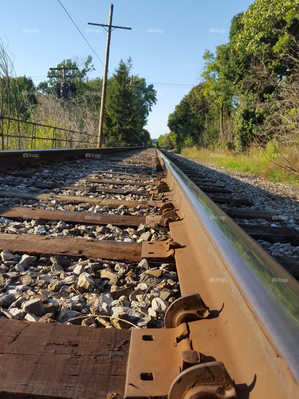 train tracks