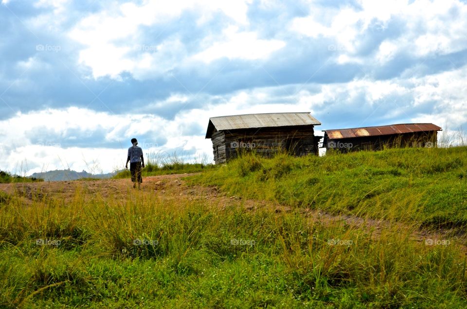 No Person, Landscape, Agriculture, Outdoors, Barn