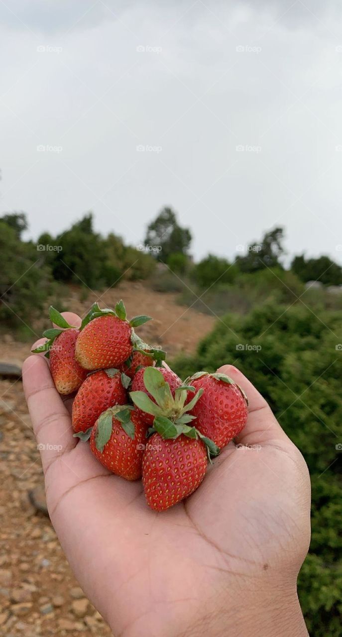 Strawberry