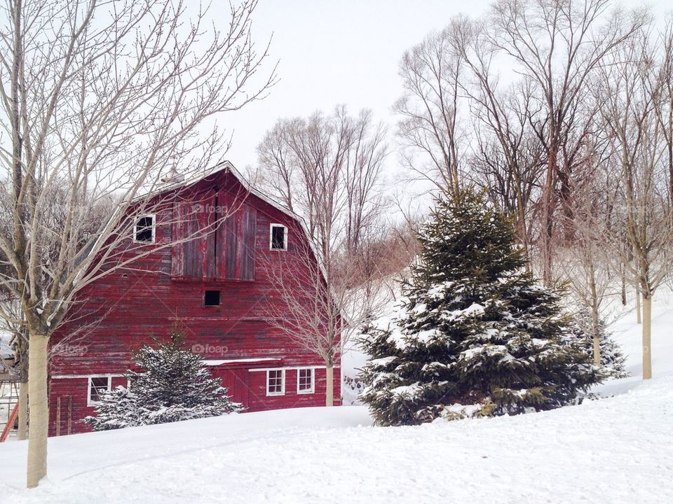 Red Barn