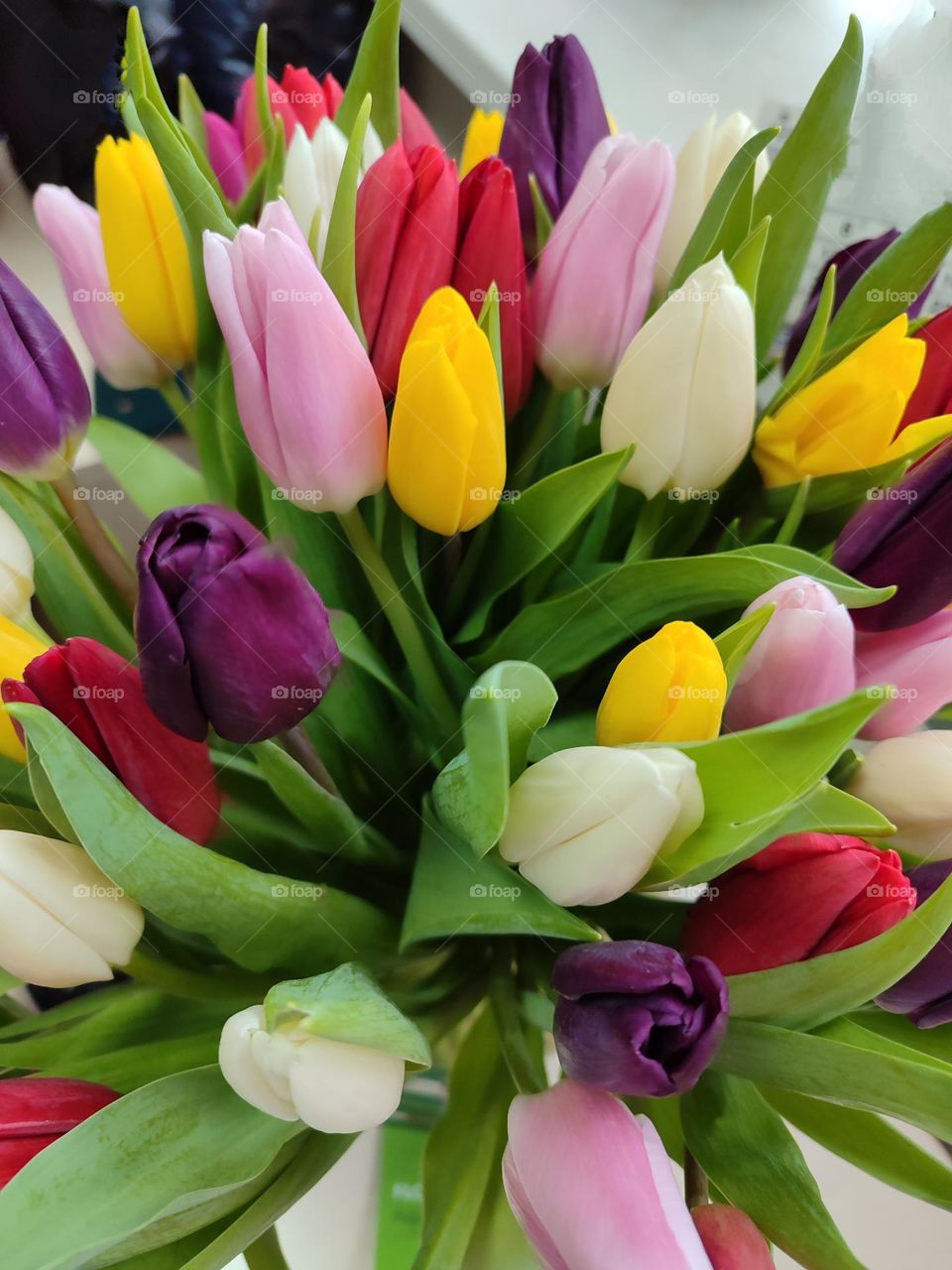 bouquet of colorful tulips