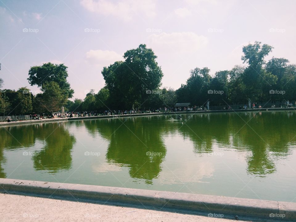 Sunny day at a park in Paris 