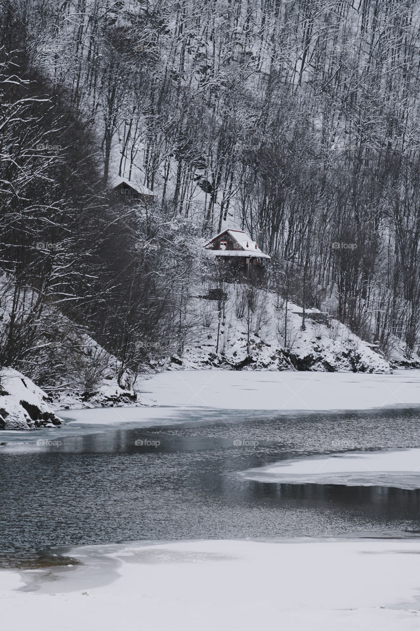 Cabin in the woods by the lake