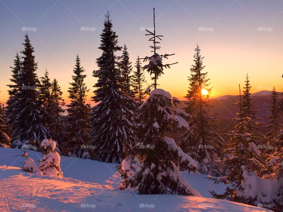 Sunset in winter