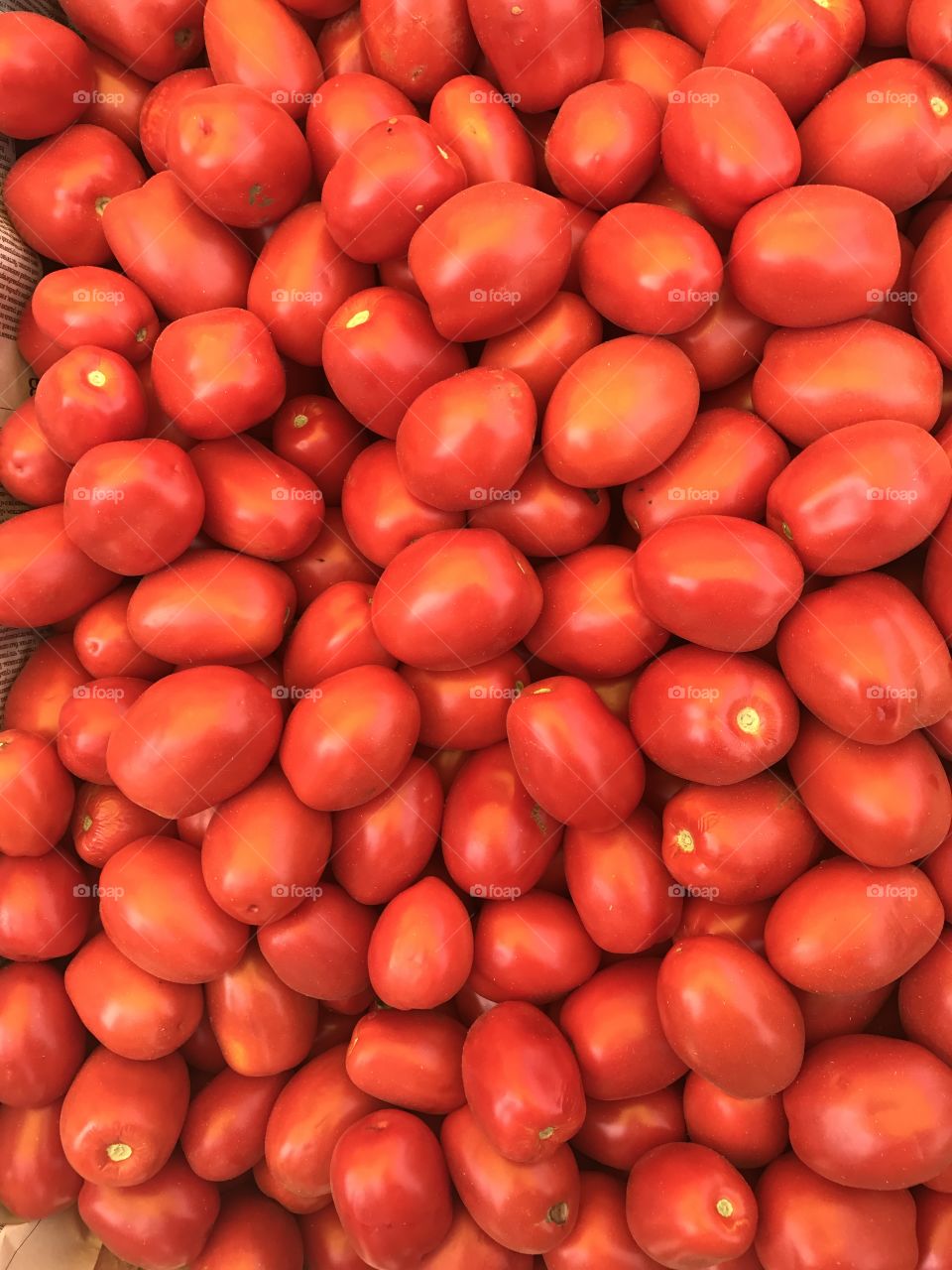Tomato background 