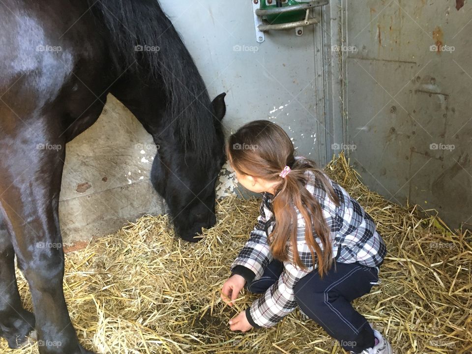 Girl with horse in stable 