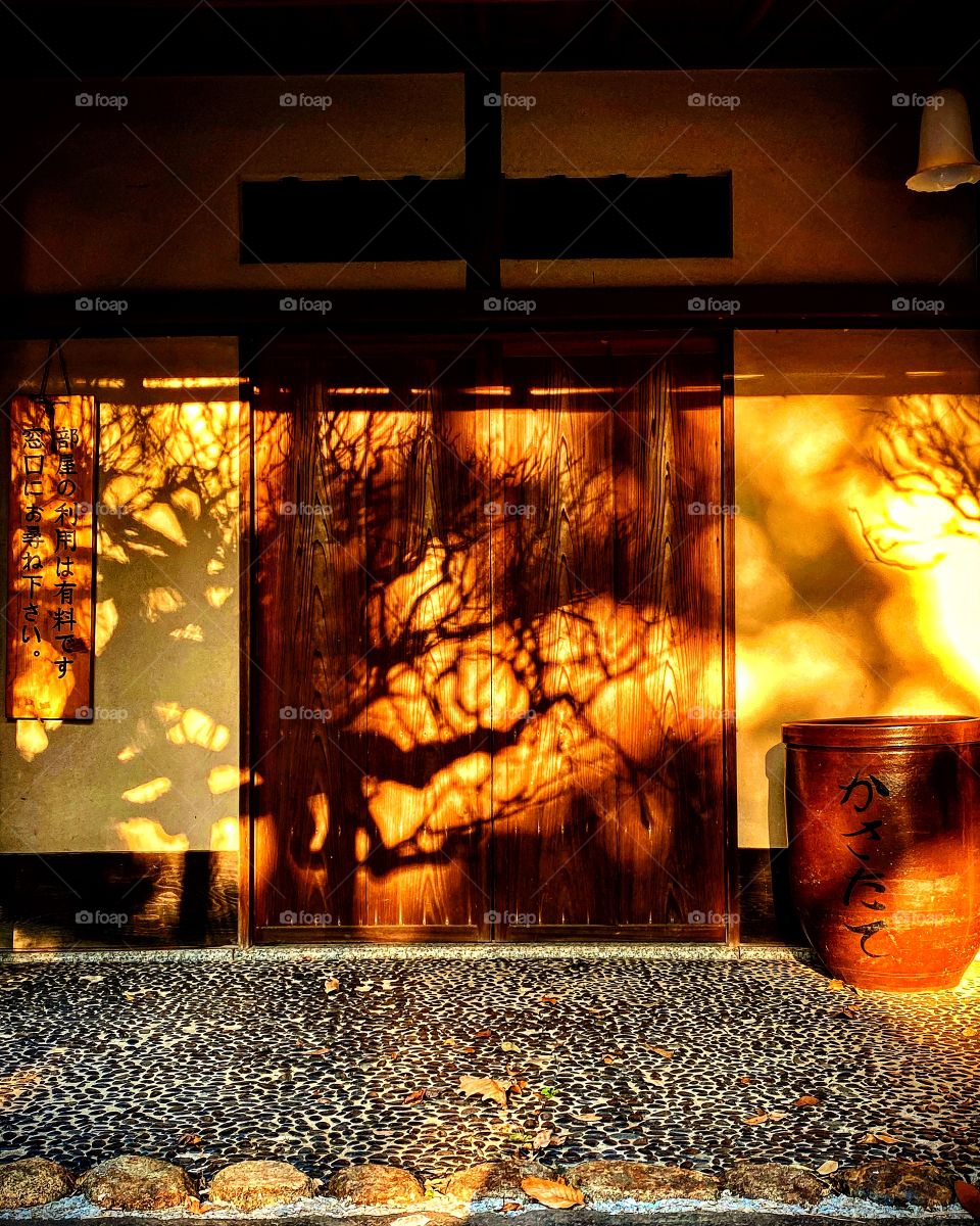 Orange glow light of setting sun against wall and door creating gnarly shadows of plum tree branches with large ceramic umbrella stand pot in foreground