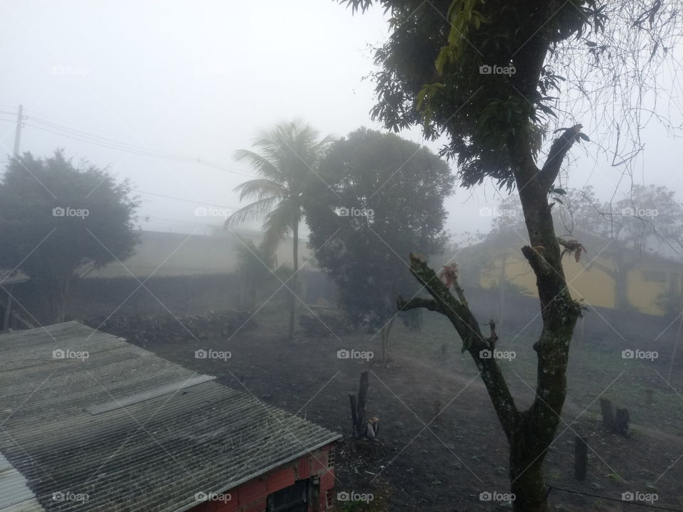 sereno numa manhã de roça