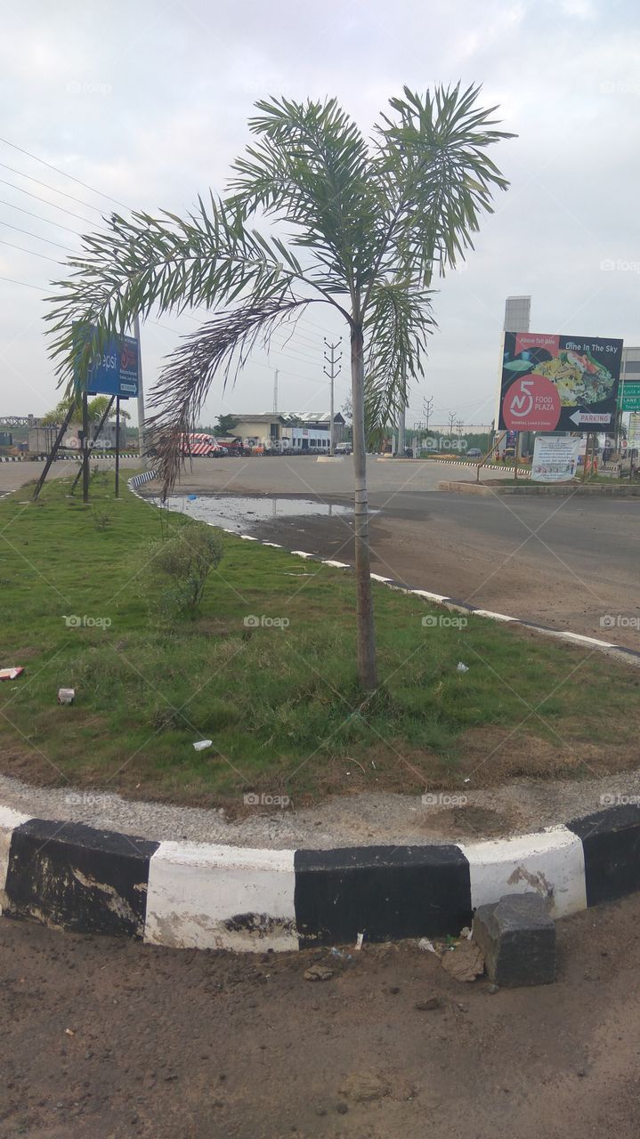 lovely green grassland