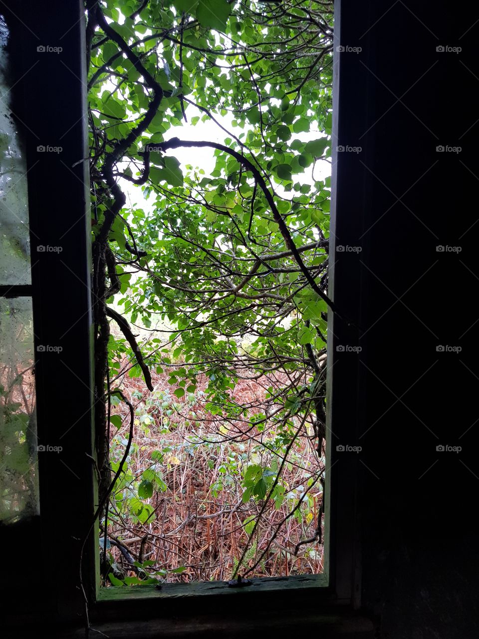 looking out of the window of a derelict building