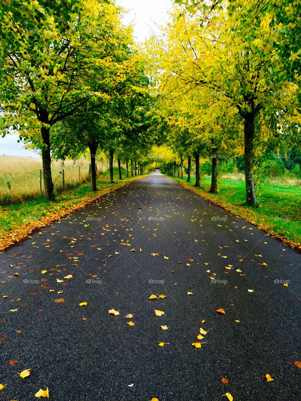 OneDirection. The road ahead is one direction