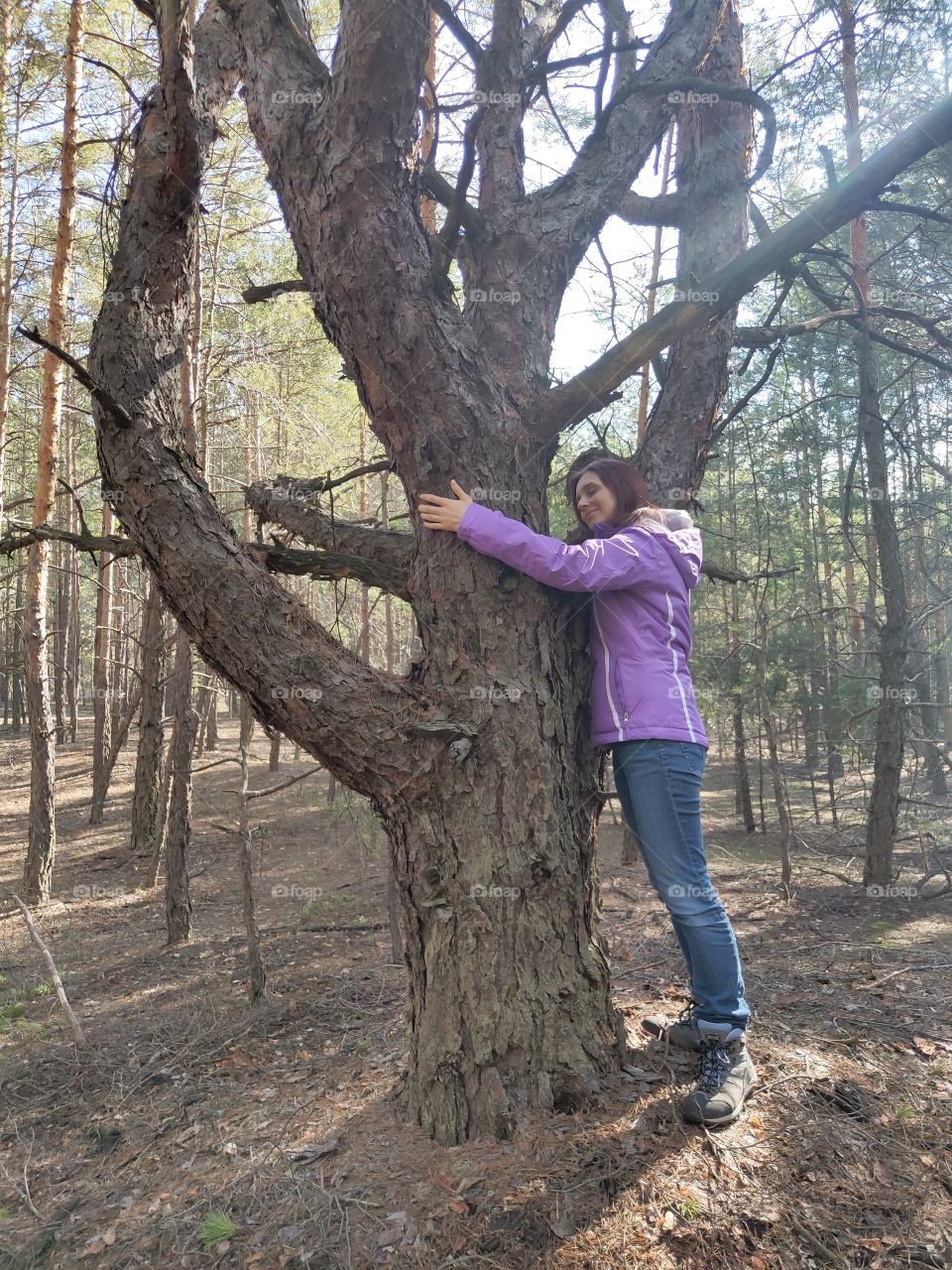 hug with tree