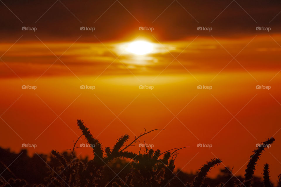 Sunset on the island of Palma, Canary Islands