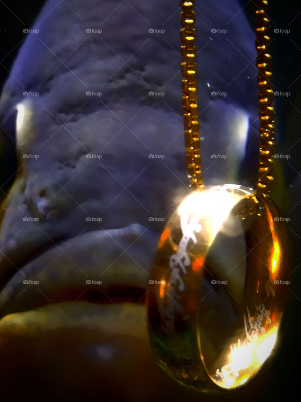 Ring "Omnipotence" from the trilogy "Lord of the Rings" on the background of the head of a fish