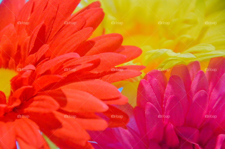 Close Up Of Fake Flowers Background