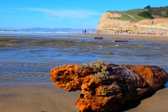 People enjoying beach at the mouth of a river, delta, log of wood on beach