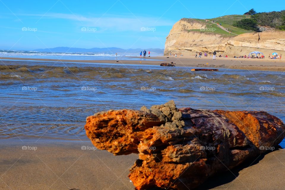 People enjoying beach at the mouth of a river, delta, log of wood on beach