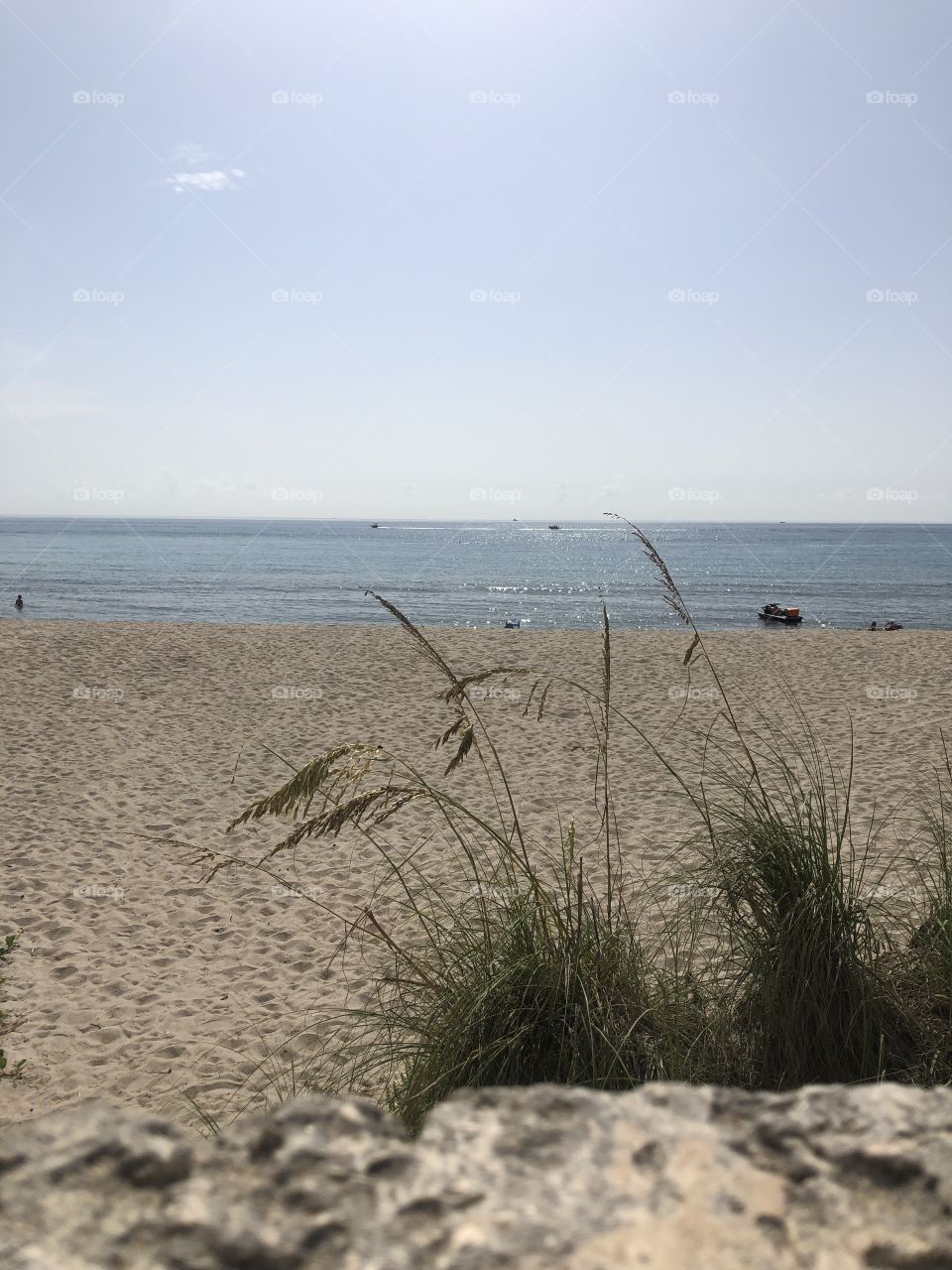 Beach and long grasses  