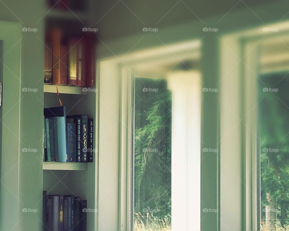 book case and window