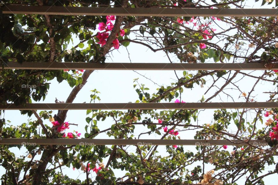 Spring season 🌸🌸🌸🌸🌸🌸🌸🌸🌸