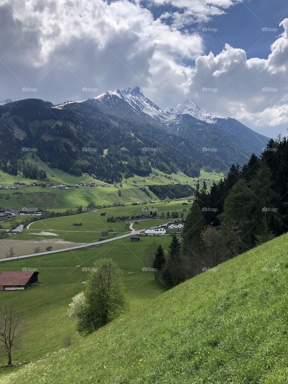 Mountain in the range , Austrian Alps