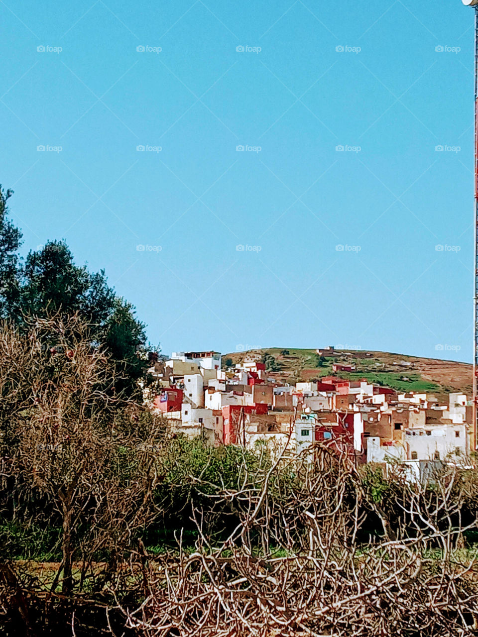 Population between the nature