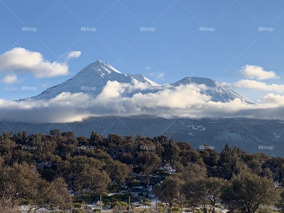 The beautiful Mt Shasta covered in fresh, white snow among fluffy clouds 