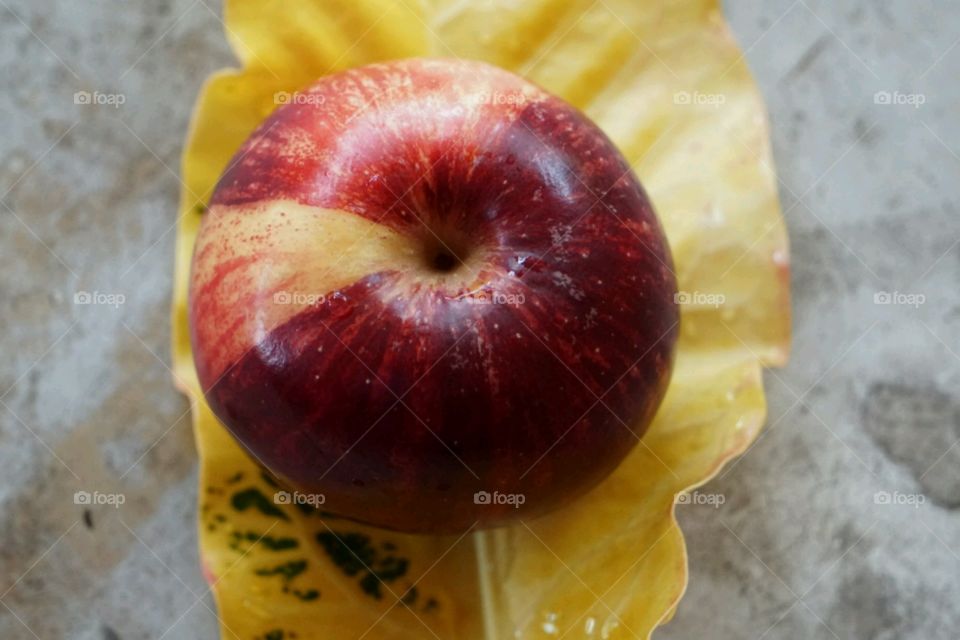 High angle view of single red apple