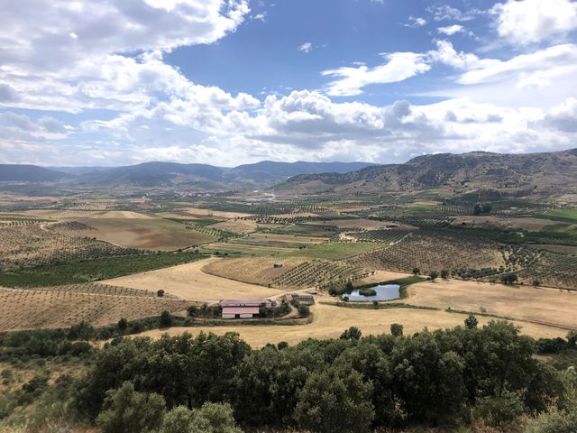 Landscape 