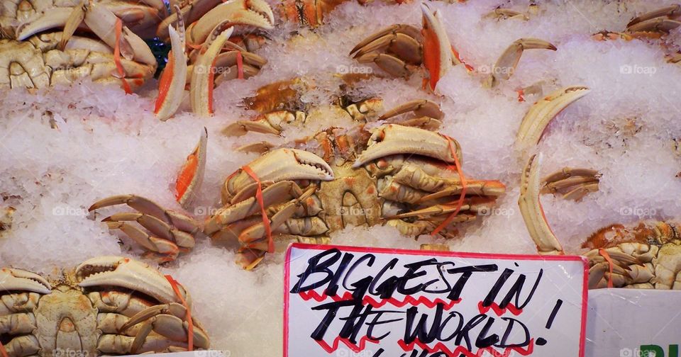 Fresh Dungeness Crab in Fish Market on ice, signage, seafood, biggest