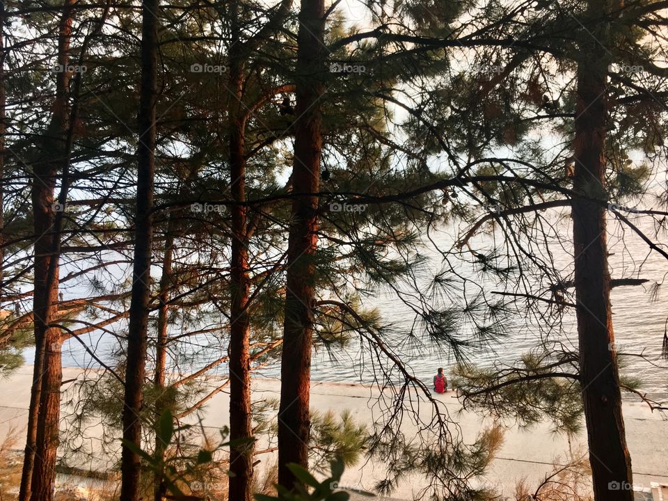 View from the forest at man sitting at the seaside. 