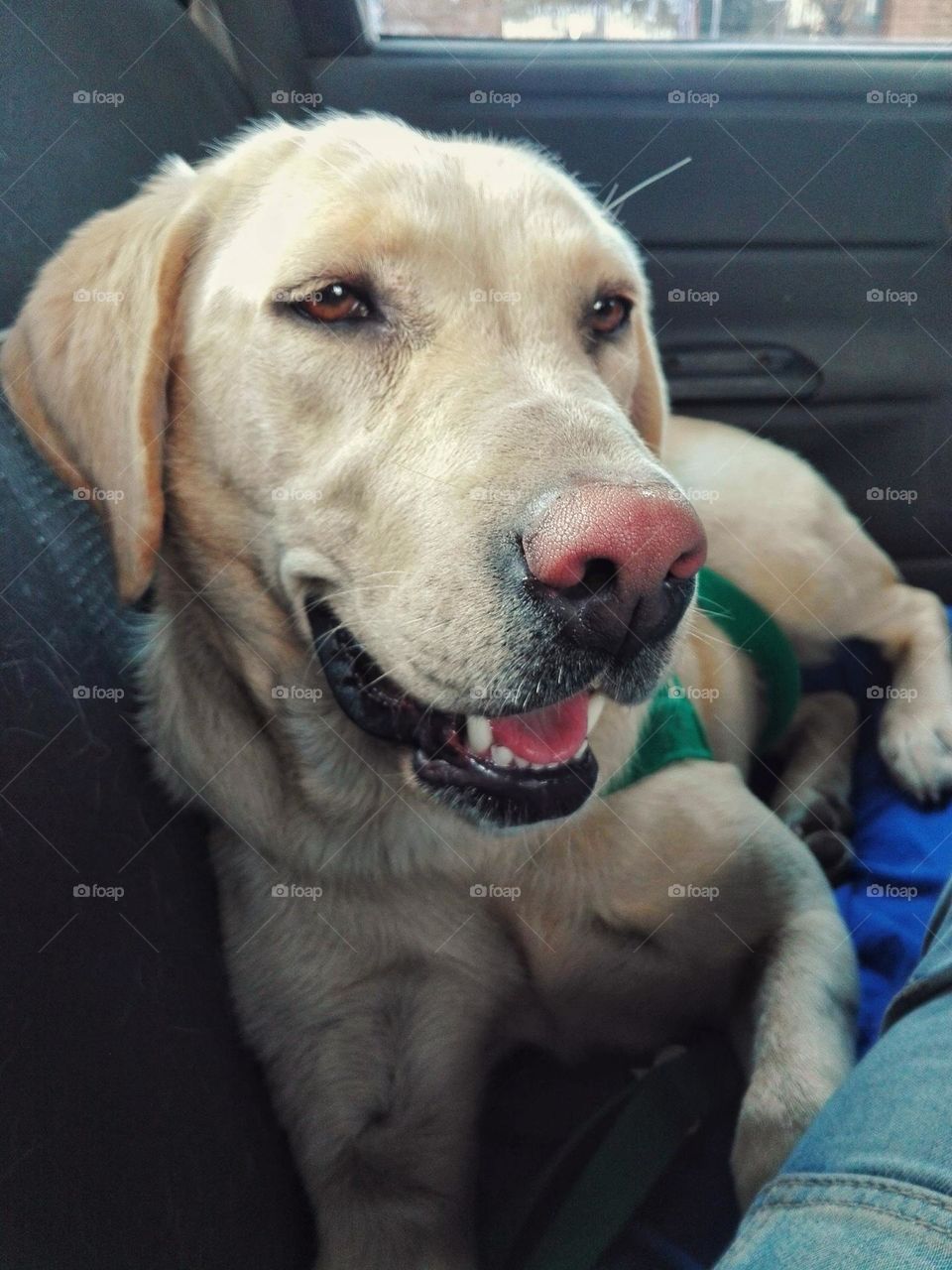 viajando por la ciudad en el auto
