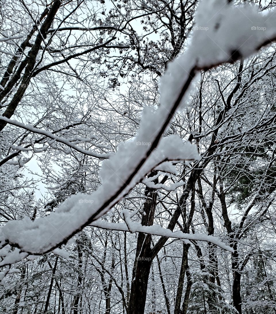 Snow in October?