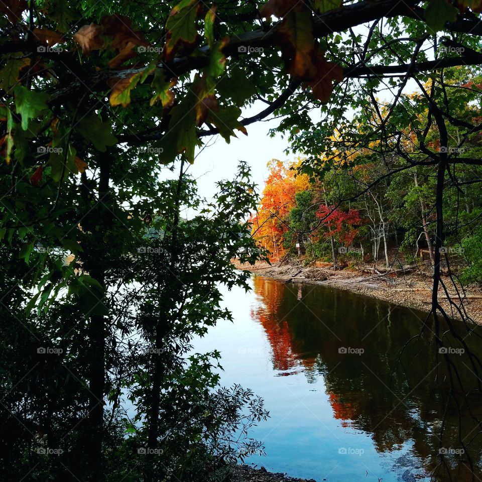 lake peeking through the forest during an autumn day.