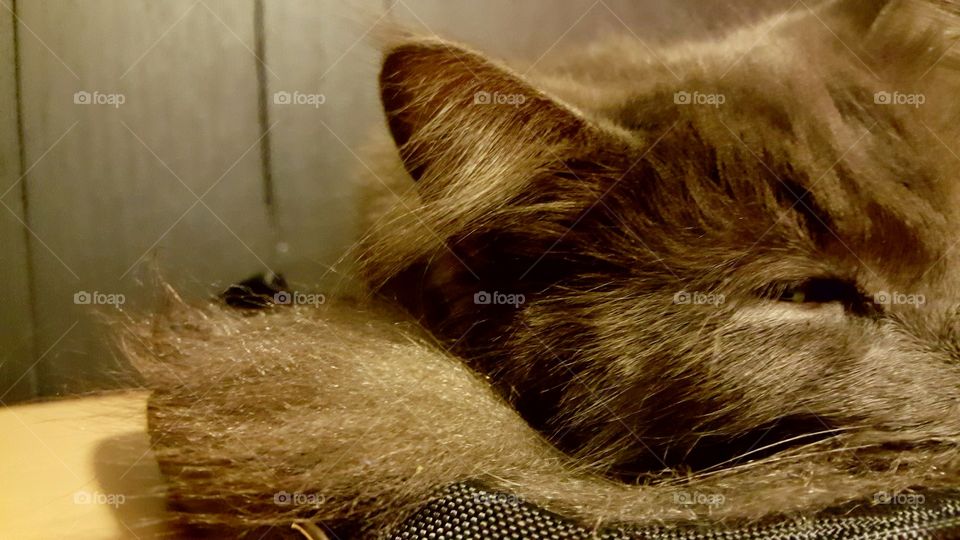 Beautiful macro shots