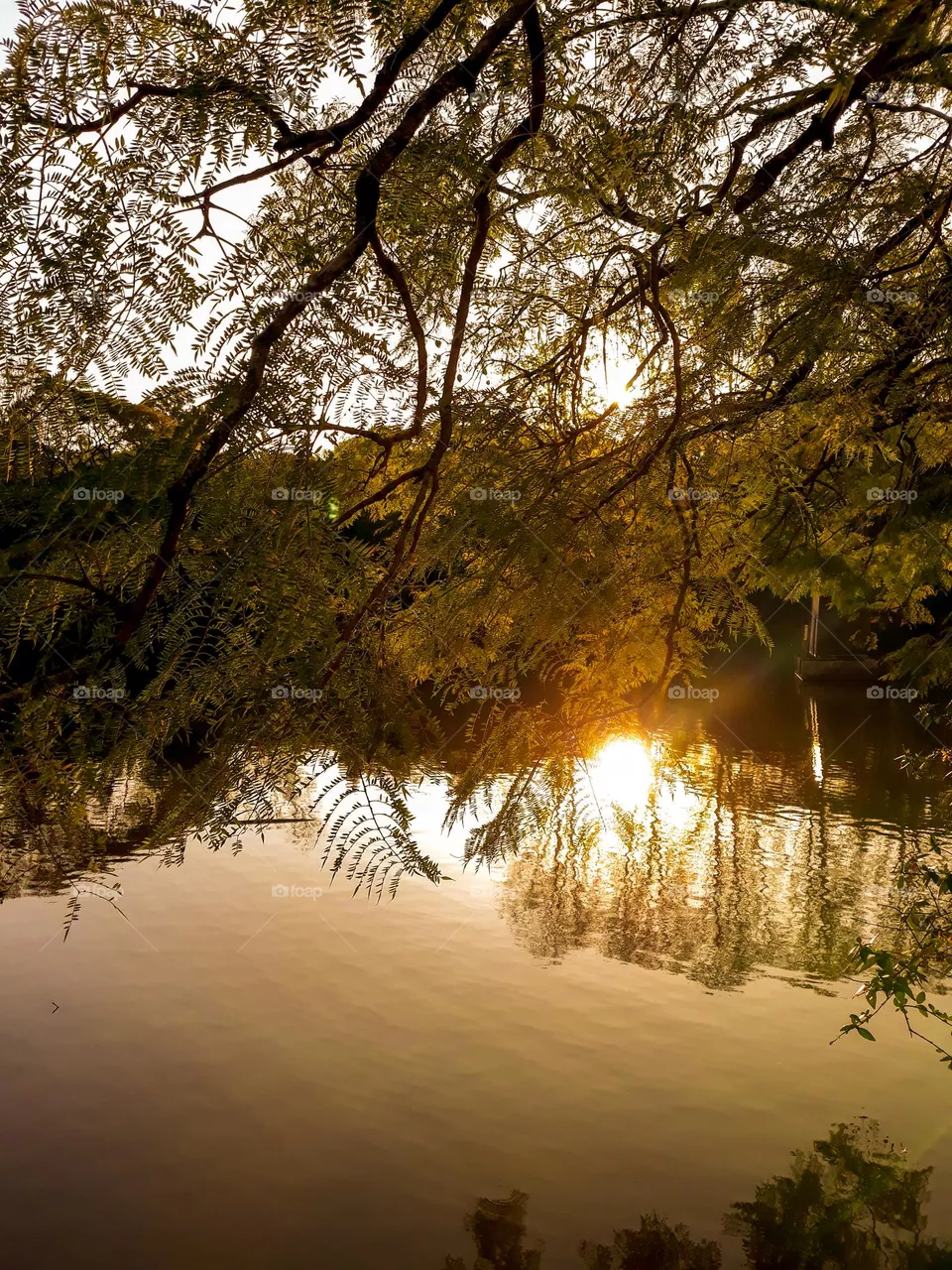 Lagoa.