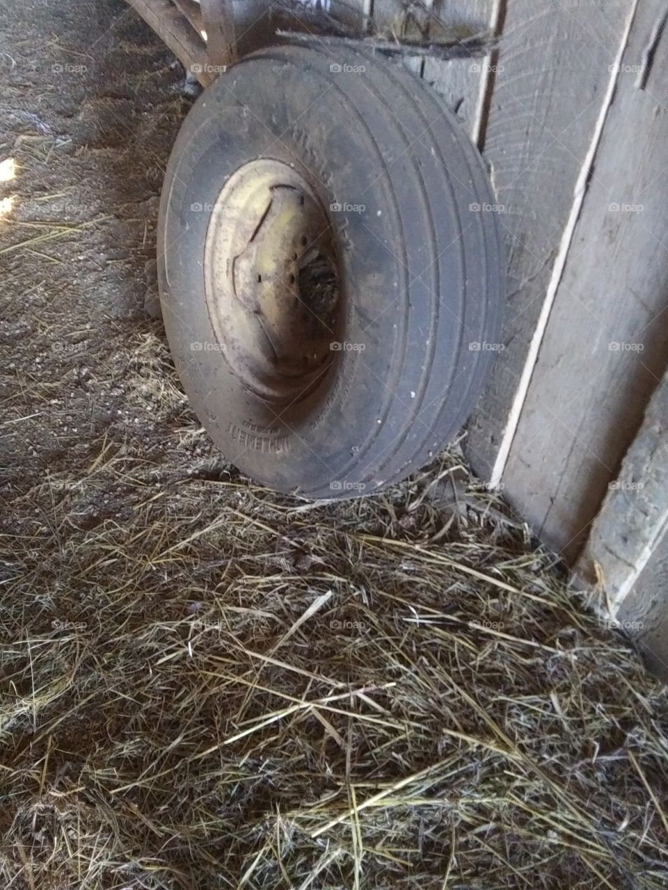 old tire rolling