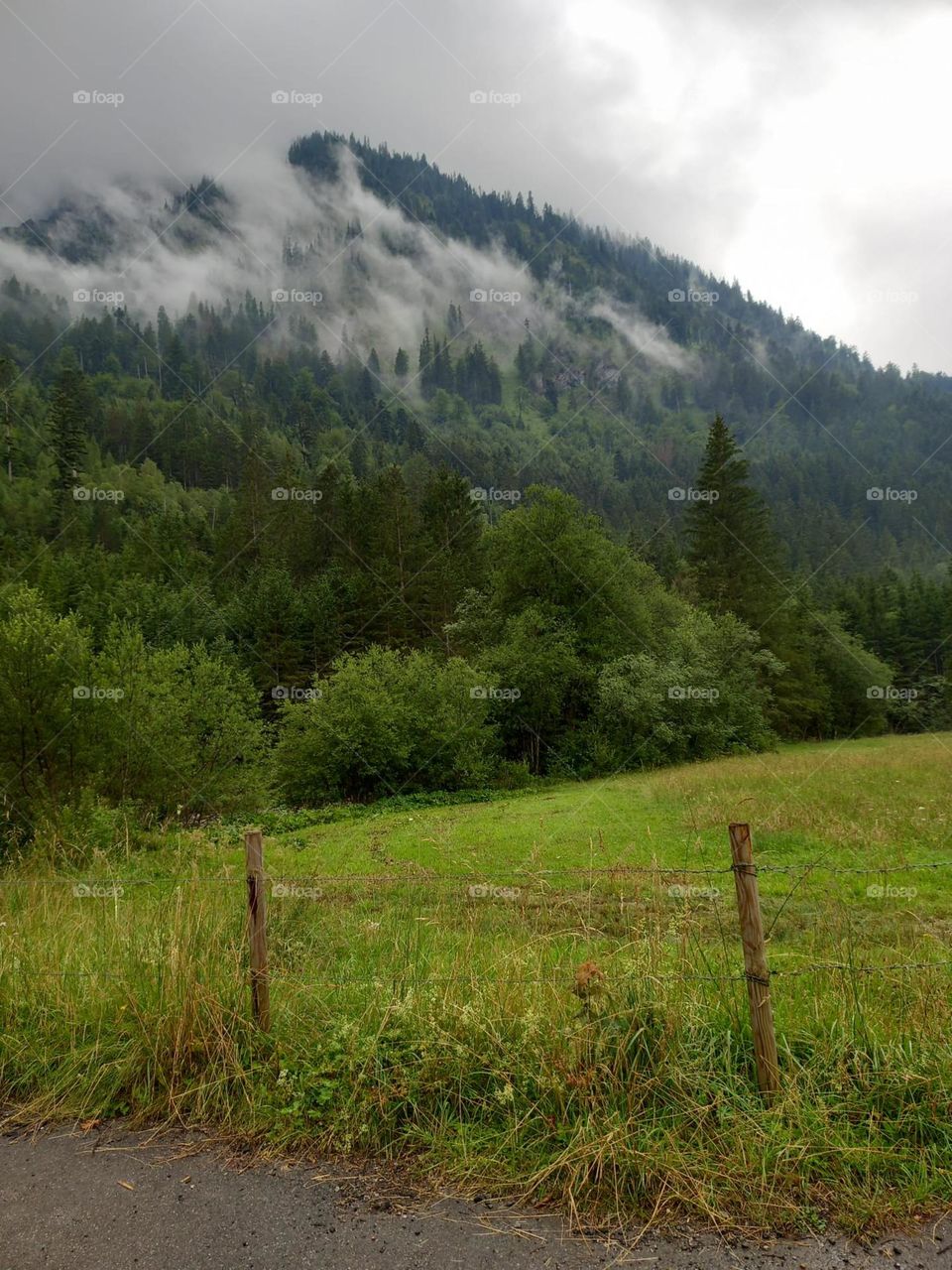 Clouds Enveloping a Mountain