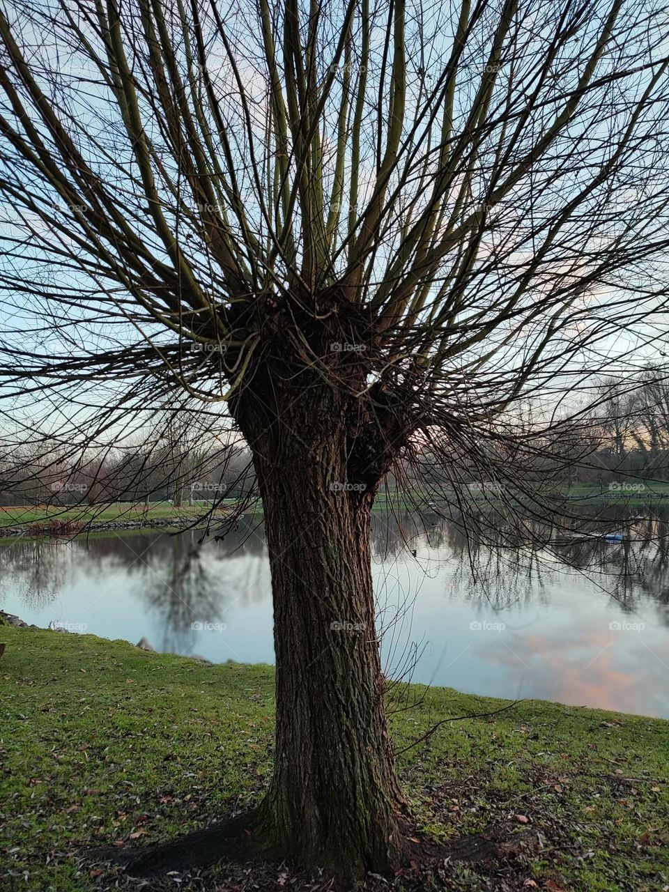 Sunset , Sky , clouds