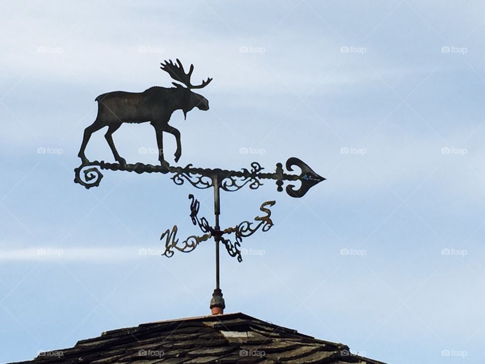 Weathervane moose. In an Alaskan botanical garden at 9pm on the Fourth of July.
