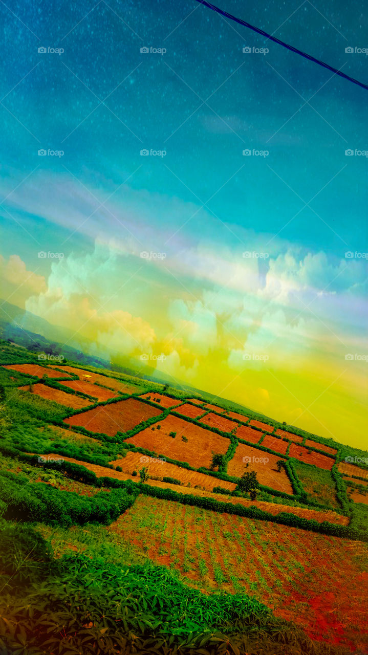 nature photo design color full