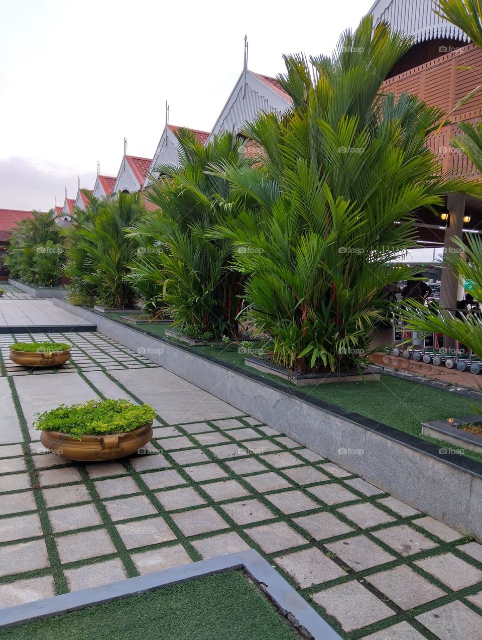 Plant's with resting areas.