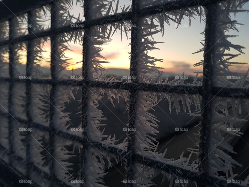 Fence and frost