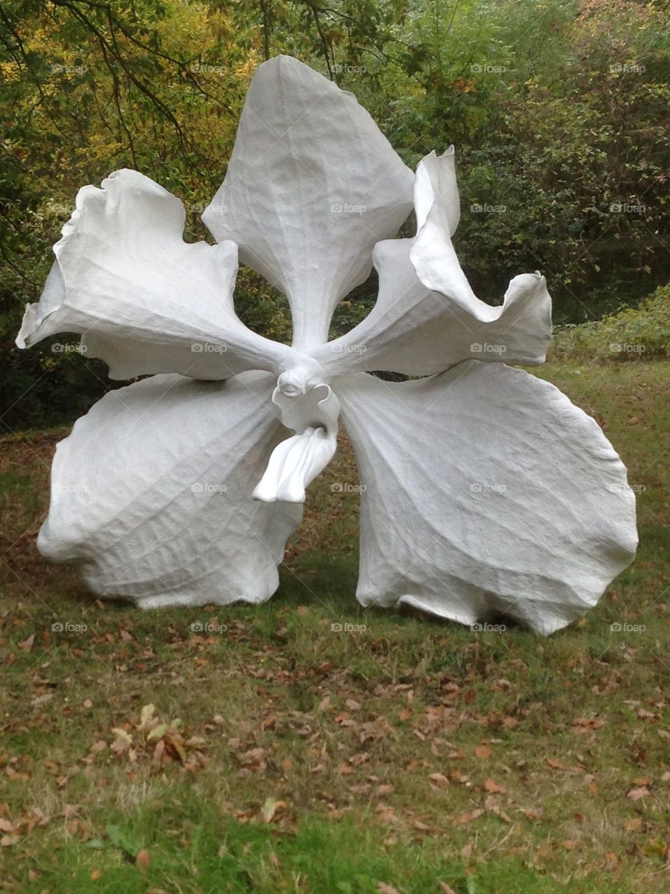 Beautiful orchid sculpture. Found in the Yorkshire sculpture park