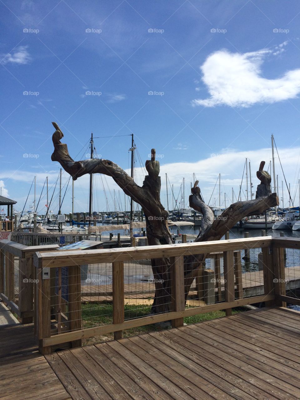 Tree sculpture in Panama City Florida on pier. 