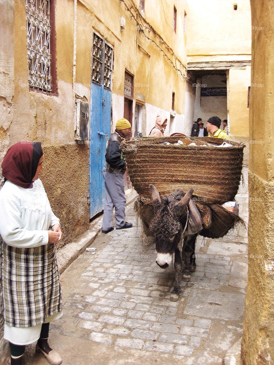 Slice of life in Fez