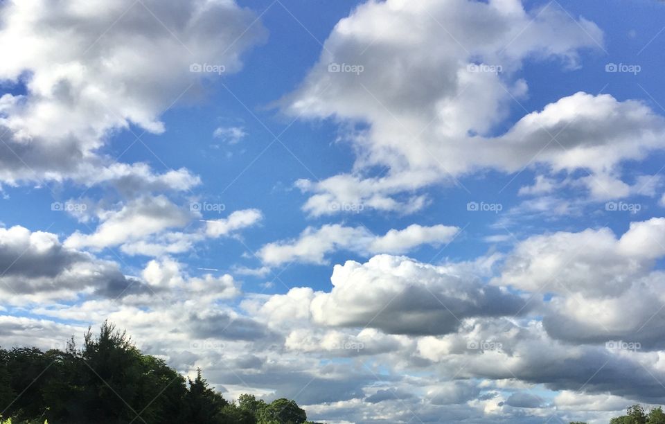 Beautiful Blue Sky with Fluffy Clouds