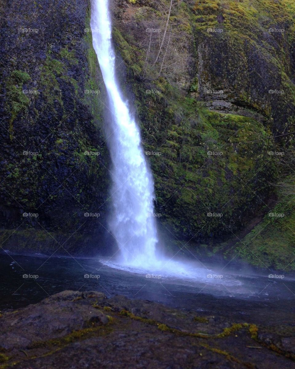 Water Fall, hike in Oregon.