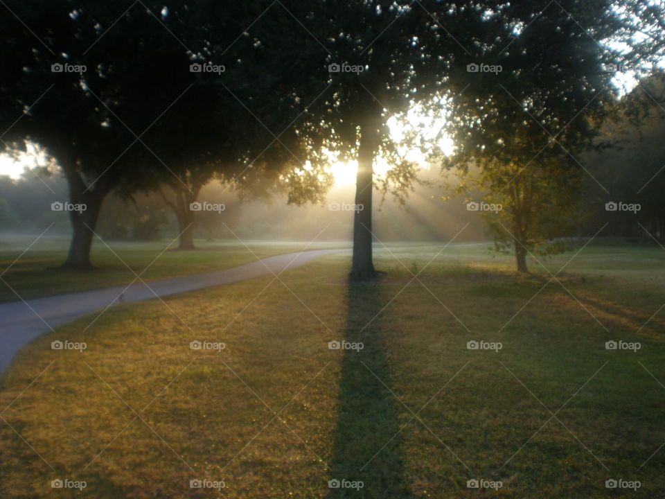 Walking along a path in a park just before sunset. The sun peeks through the trees. 